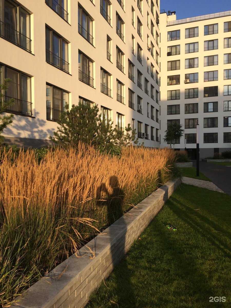 Отзывы на компанию Дед-Бинокль Европейский берег в Новосибирске c фото - фотография 2 из 2