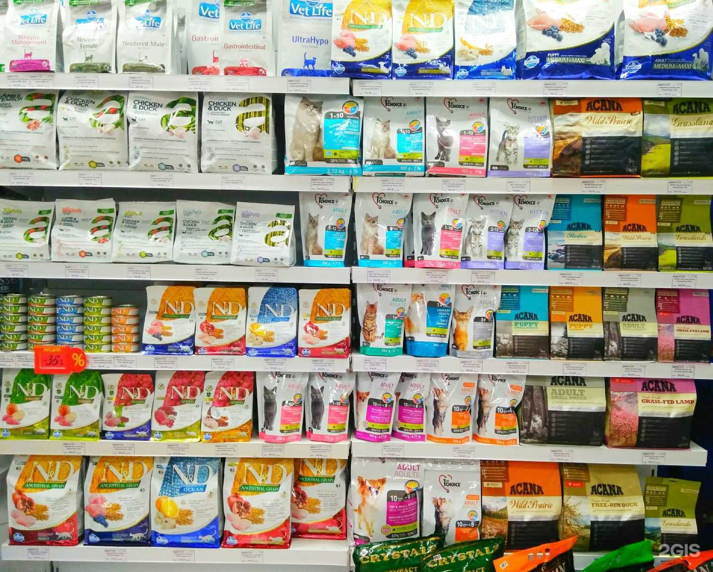 Отзывы на компанию HappyZoo в Томске c фото