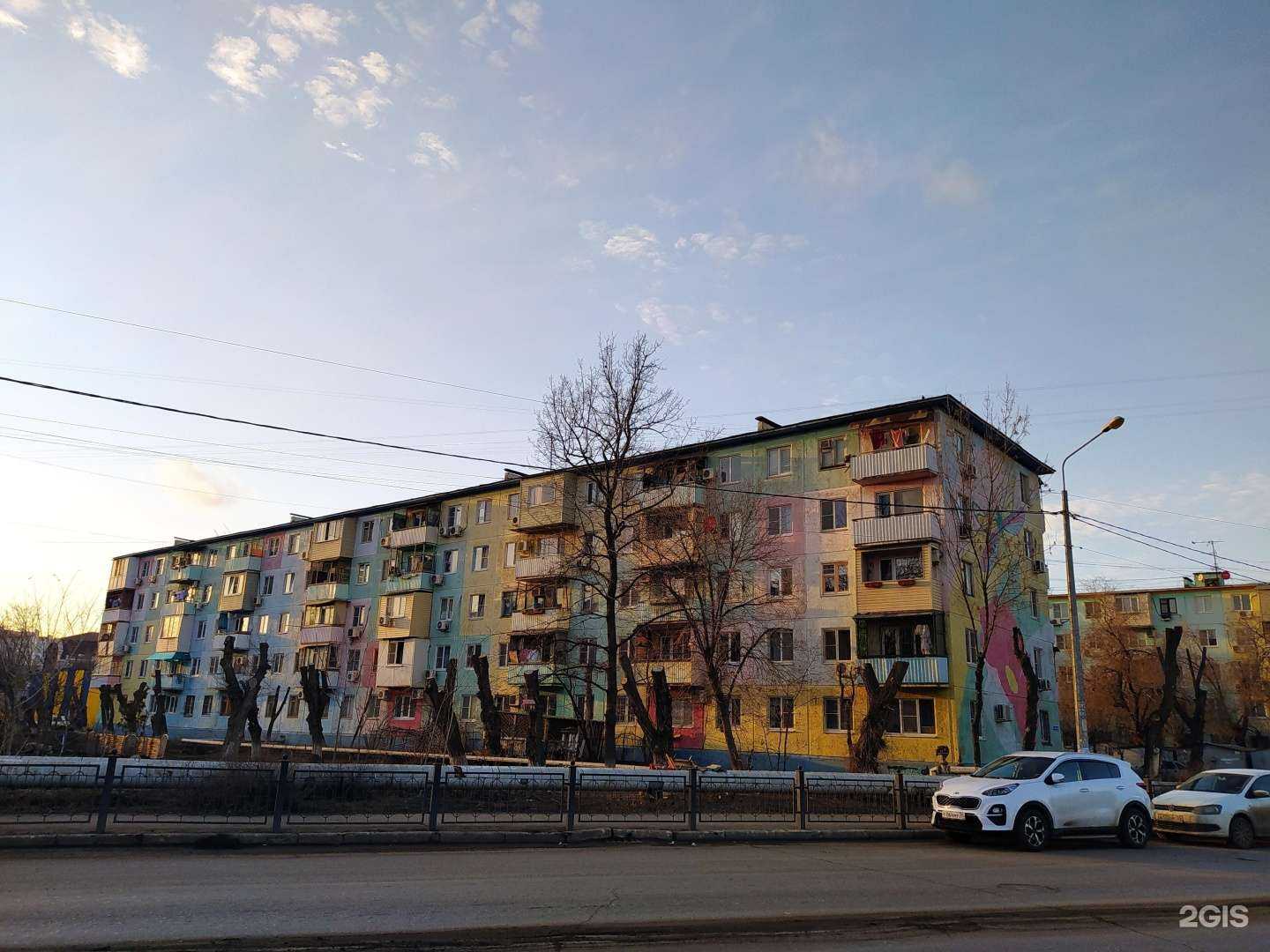 Отзывы на компанию Любимые питомцы в Астрахани c фото