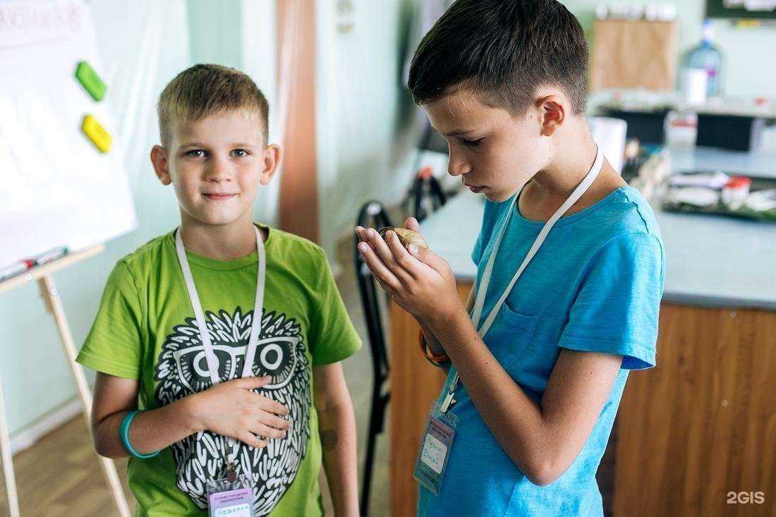 Отзывы на компанию Эмпирика в Краснодаре c фото