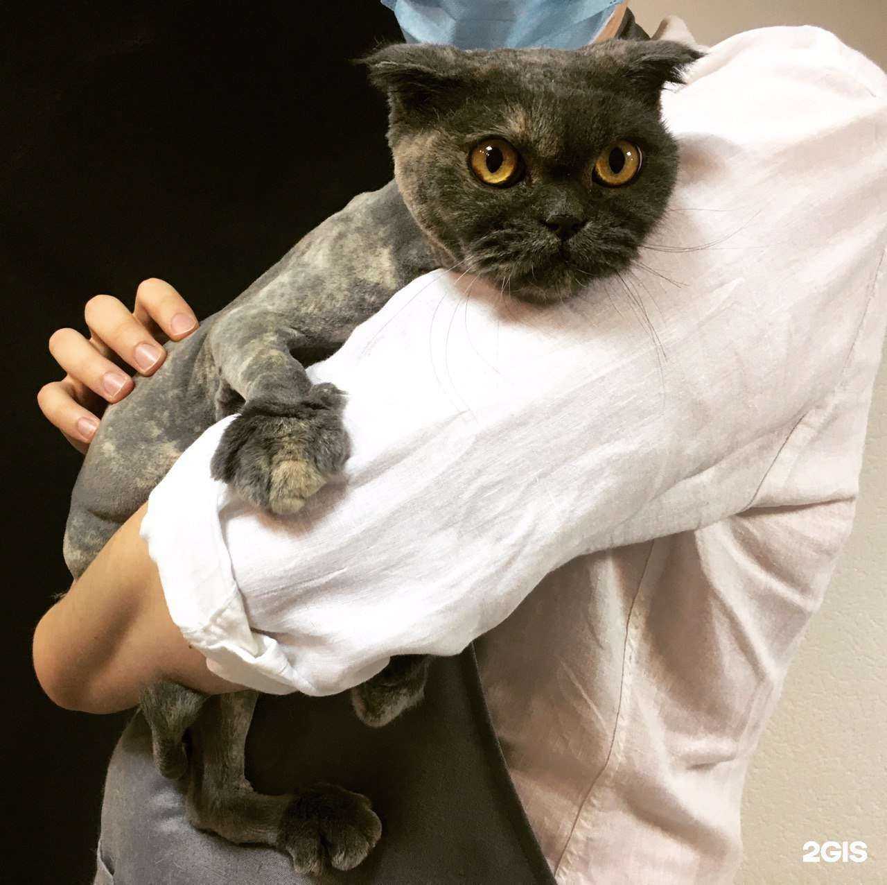 Отзывы на компанию Groom.York в Ростове-на-Дону c фото