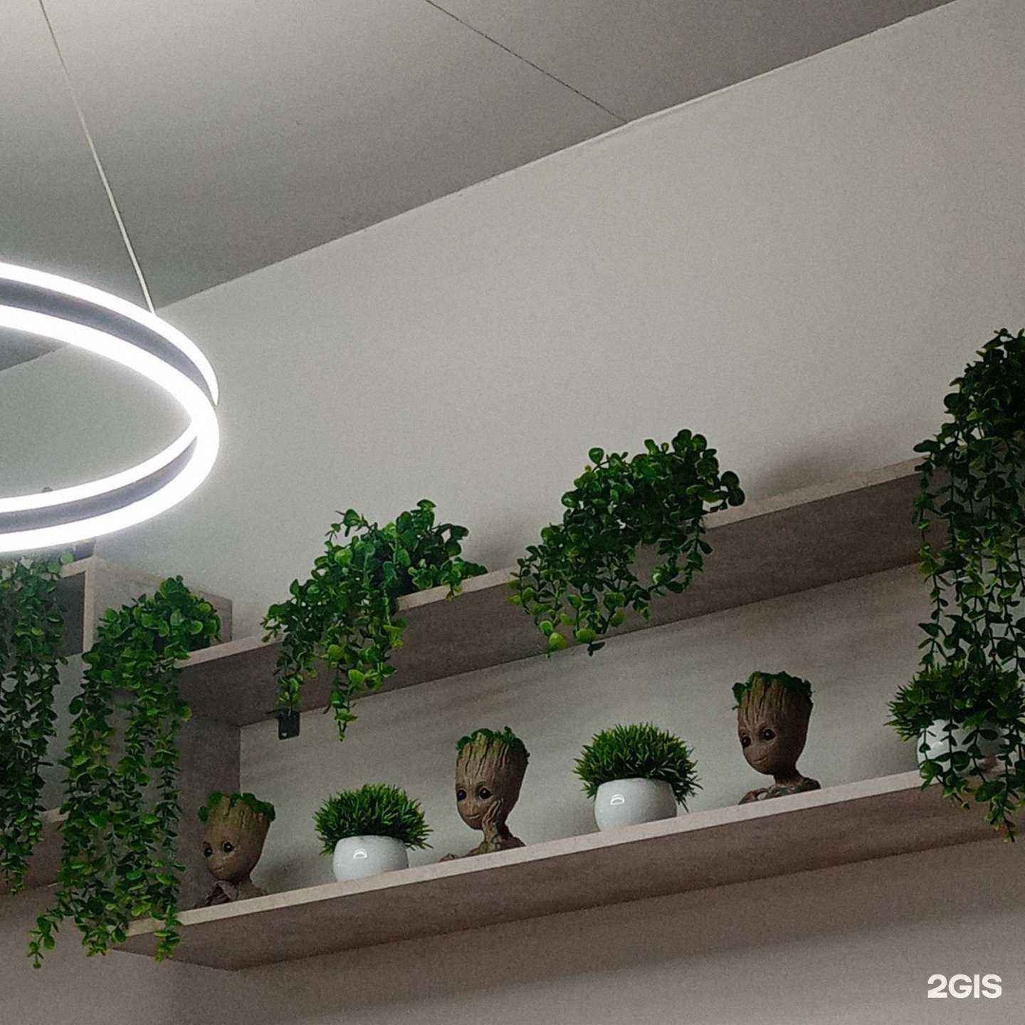 Отзывы на компанию Lion Pizza в Уфе c фото