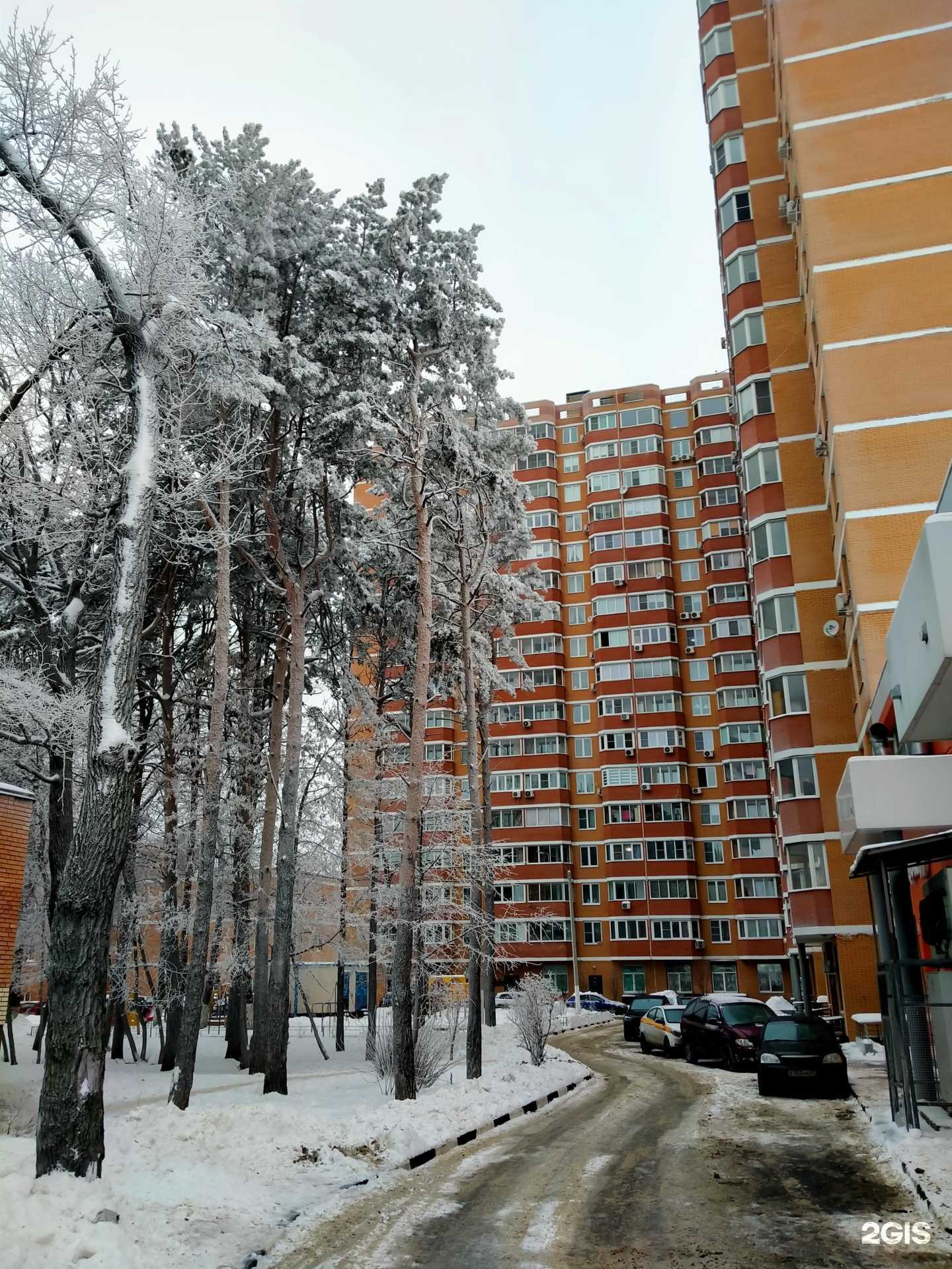 Отзывы на компанию Домми в Подольске c фото - фотография 2 из 2