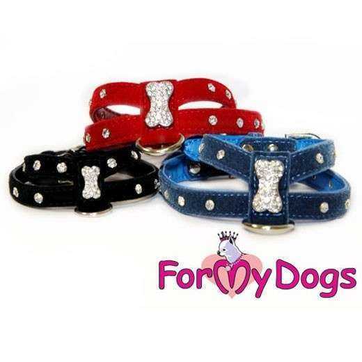 Отзывы на компанию Club-dog в Екатеринбурге c фото