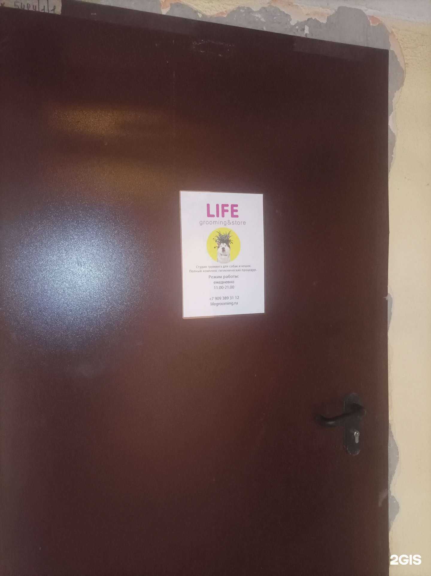 Отзывы на компанию Life Grooming в г. Долгопрудный c фото