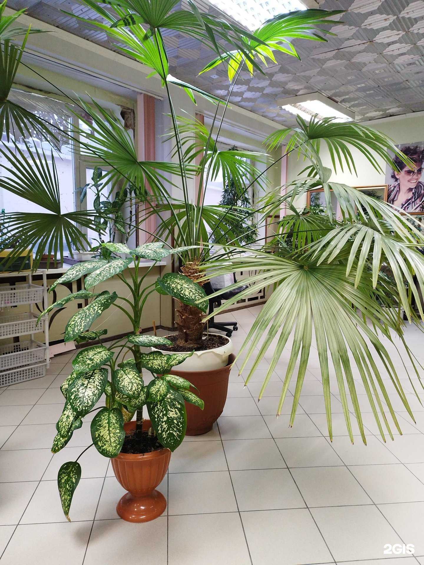 Отзывы на компанию Мужская парикмахерская в Норильске c фото