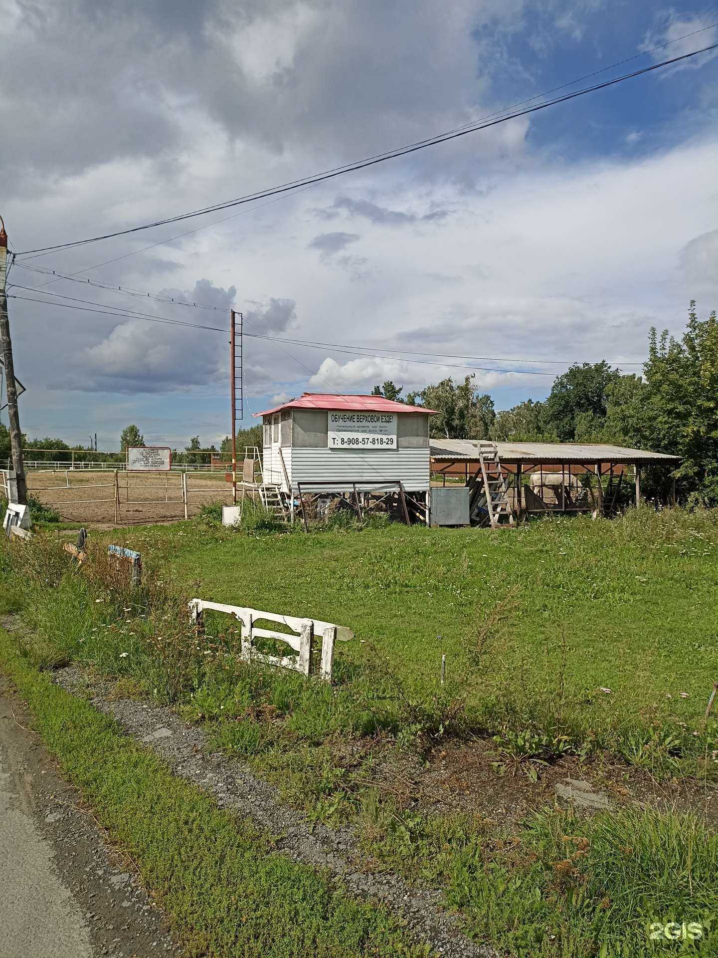 Отзывы на компанию Компания по обучению верховой езде в г. Челябинск c фото