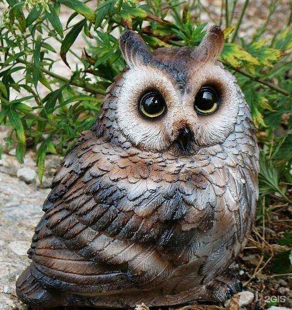 Отзывы на компанию РозМарин в Череповце c фото