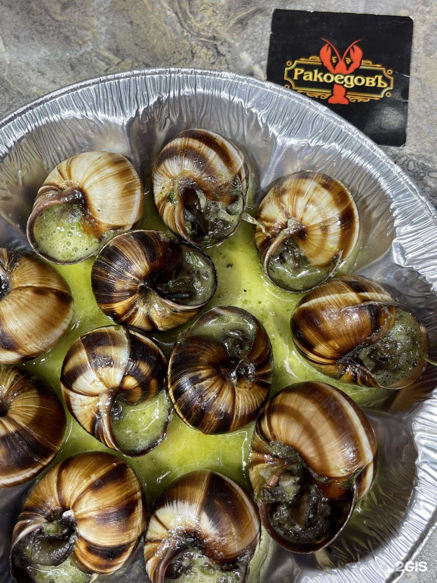 Отзывы на компанию РакоедовЪ в Новороссийске c фото