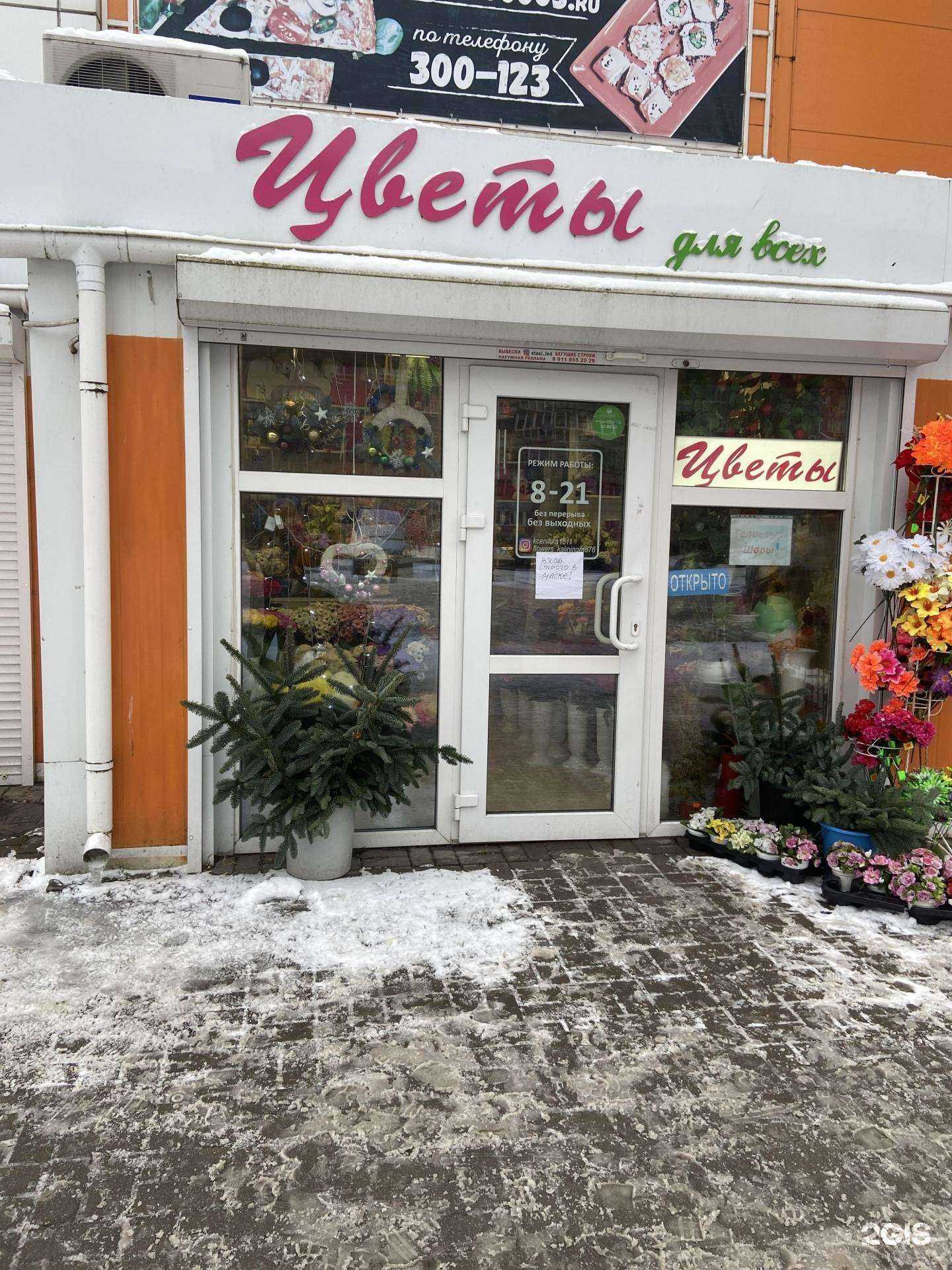 Отзывы на компанию Цветы для всех в г. Калининград c фото