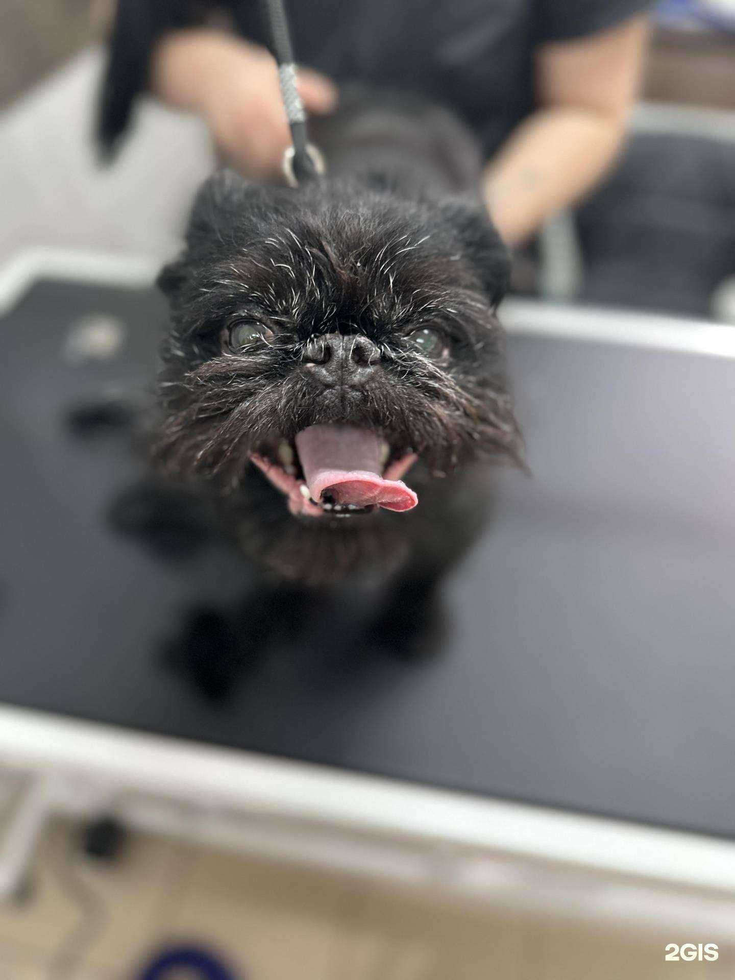 Отзывы на компанию Круэлла в г. Южно-Сахалинск c фото