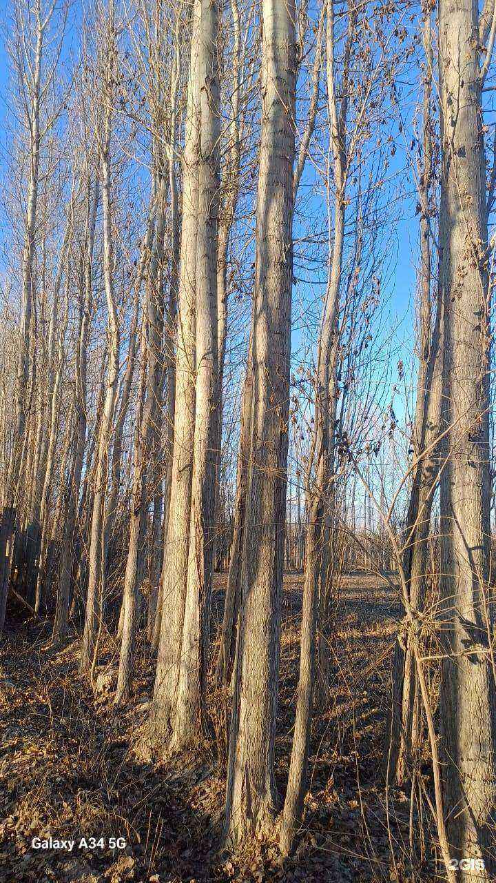 Отзывы на компанию Мастер Шпон в Барнауле c фото - фотография 2 из 2