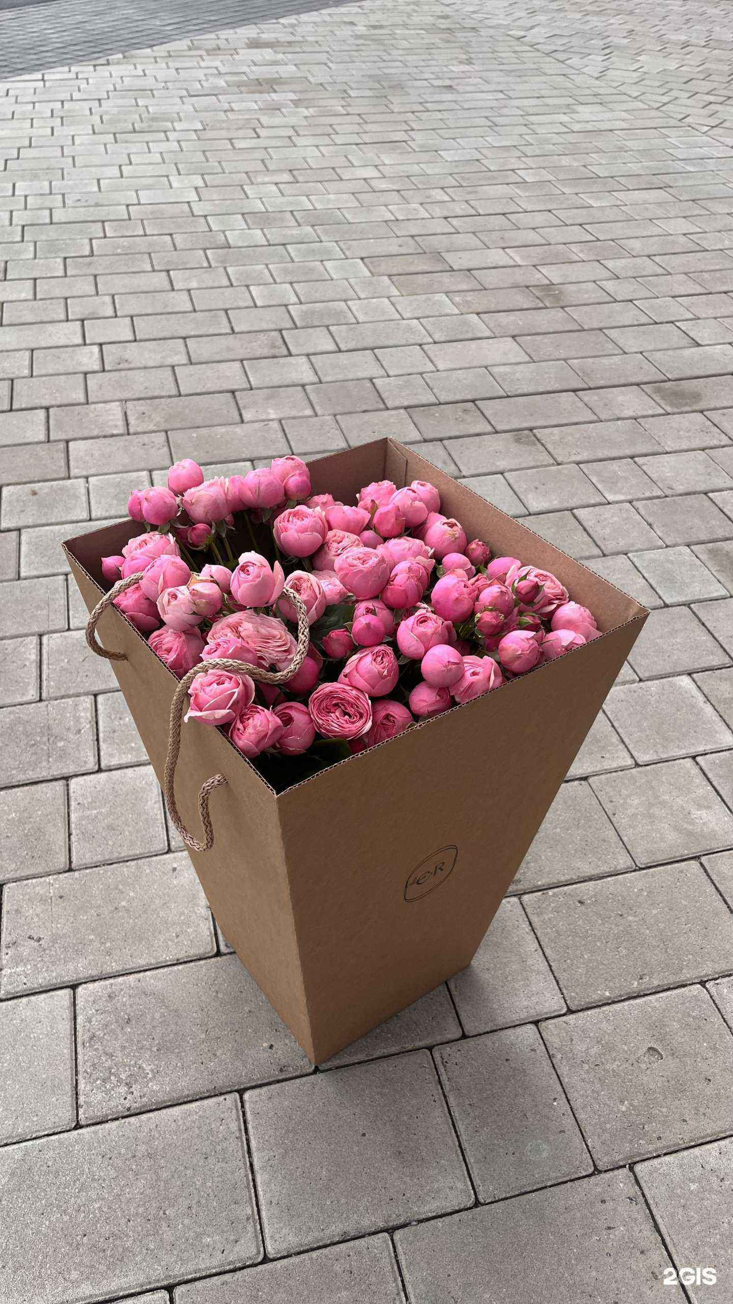 Отзывы на компанию Emily Rose в Тюмени c фото