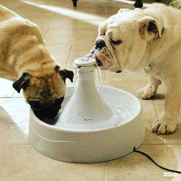 Отзывы на компанию Vet Life в г. Вологда c фото