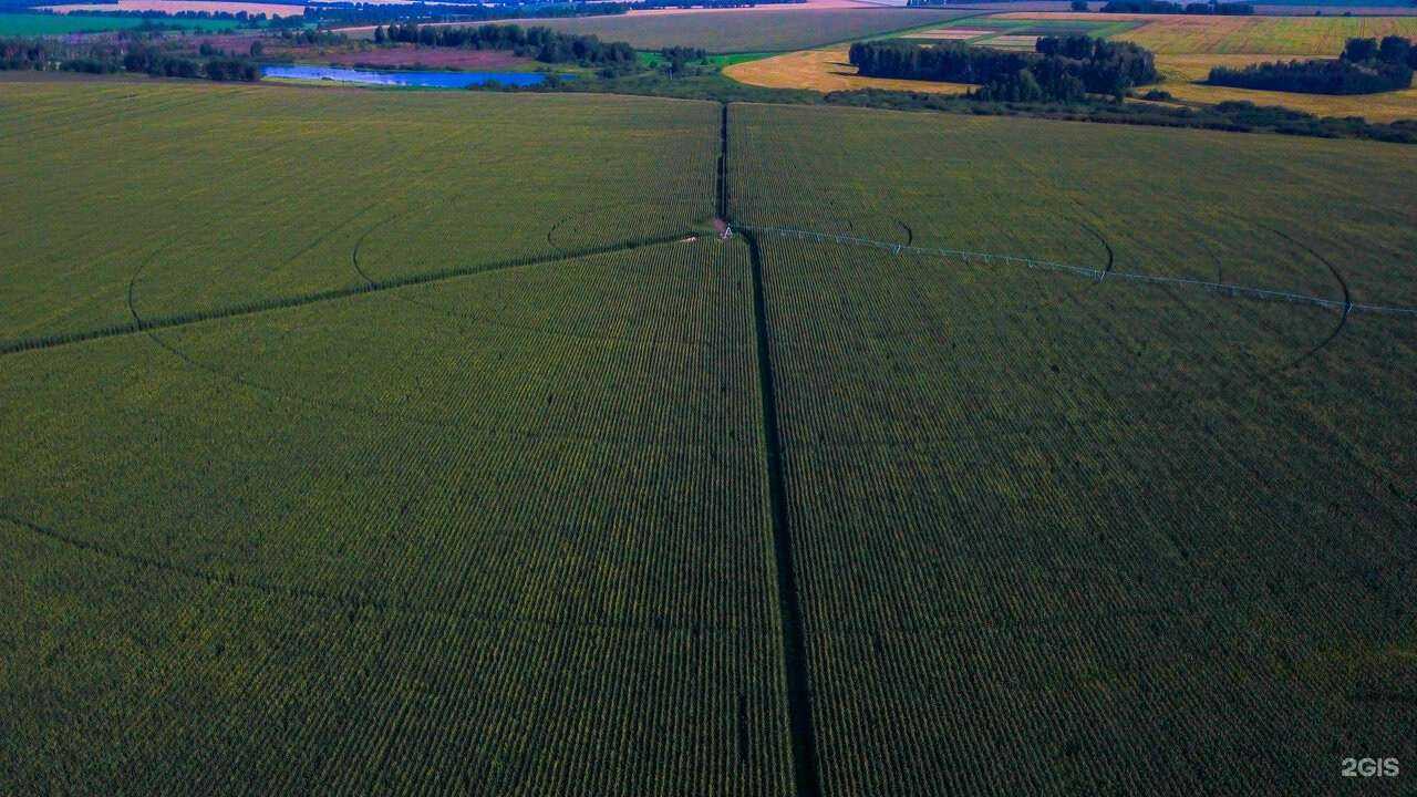 Отзывы на компанию Аквафилд в г. Барнаул c фото