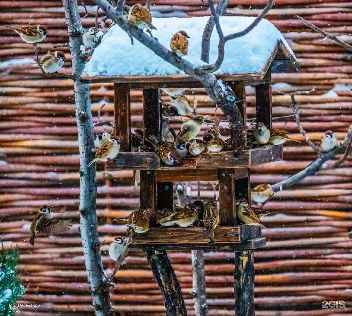 Отзывы на компанию Золотая Ива в г. Магнитогорск c фото