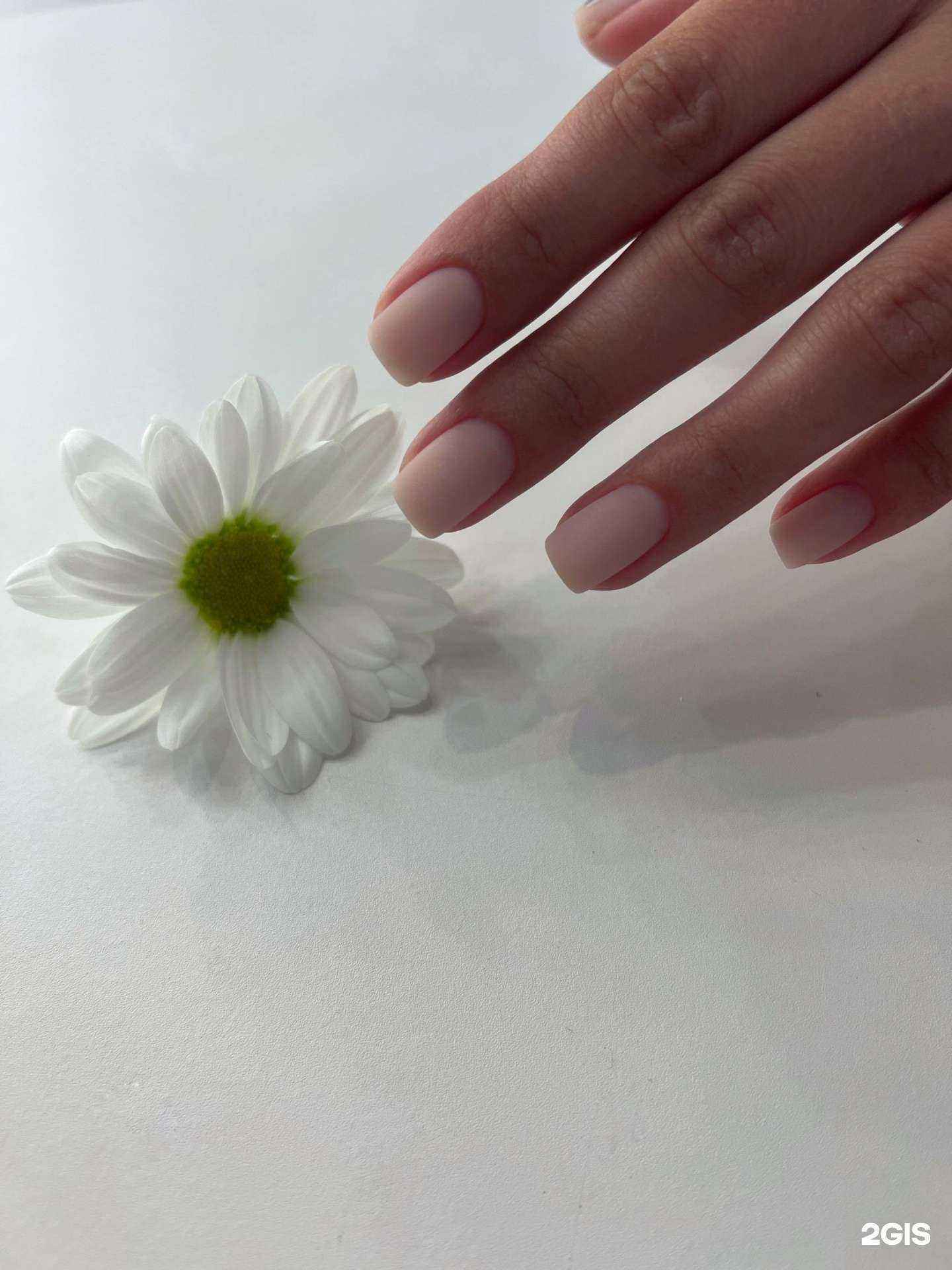 Отзывы на компанию Nails studio krona в Комсомольске-на-Амуре c фото