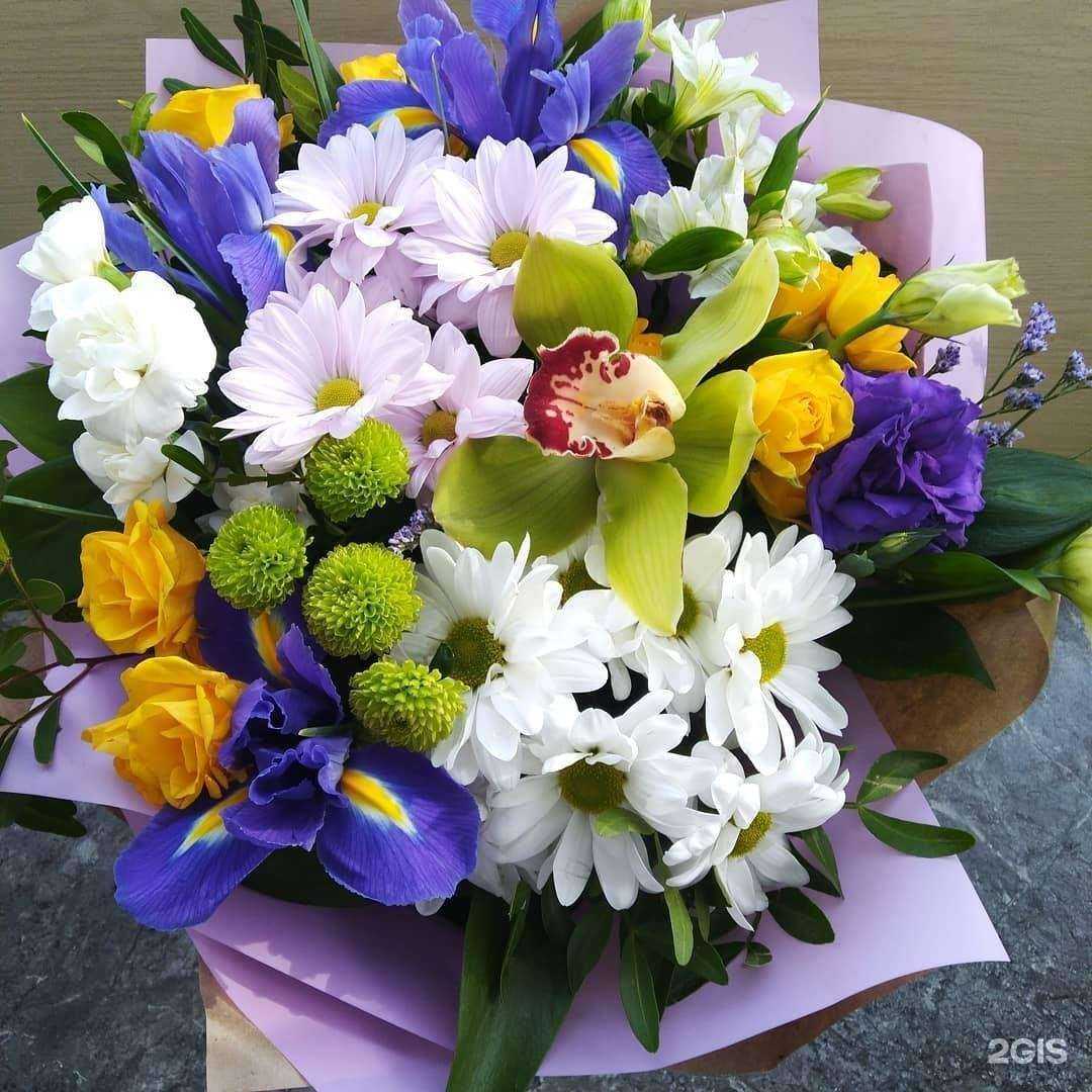 Отзывы на компанию Магазин семян и товаров для сада в Тольятти c фото