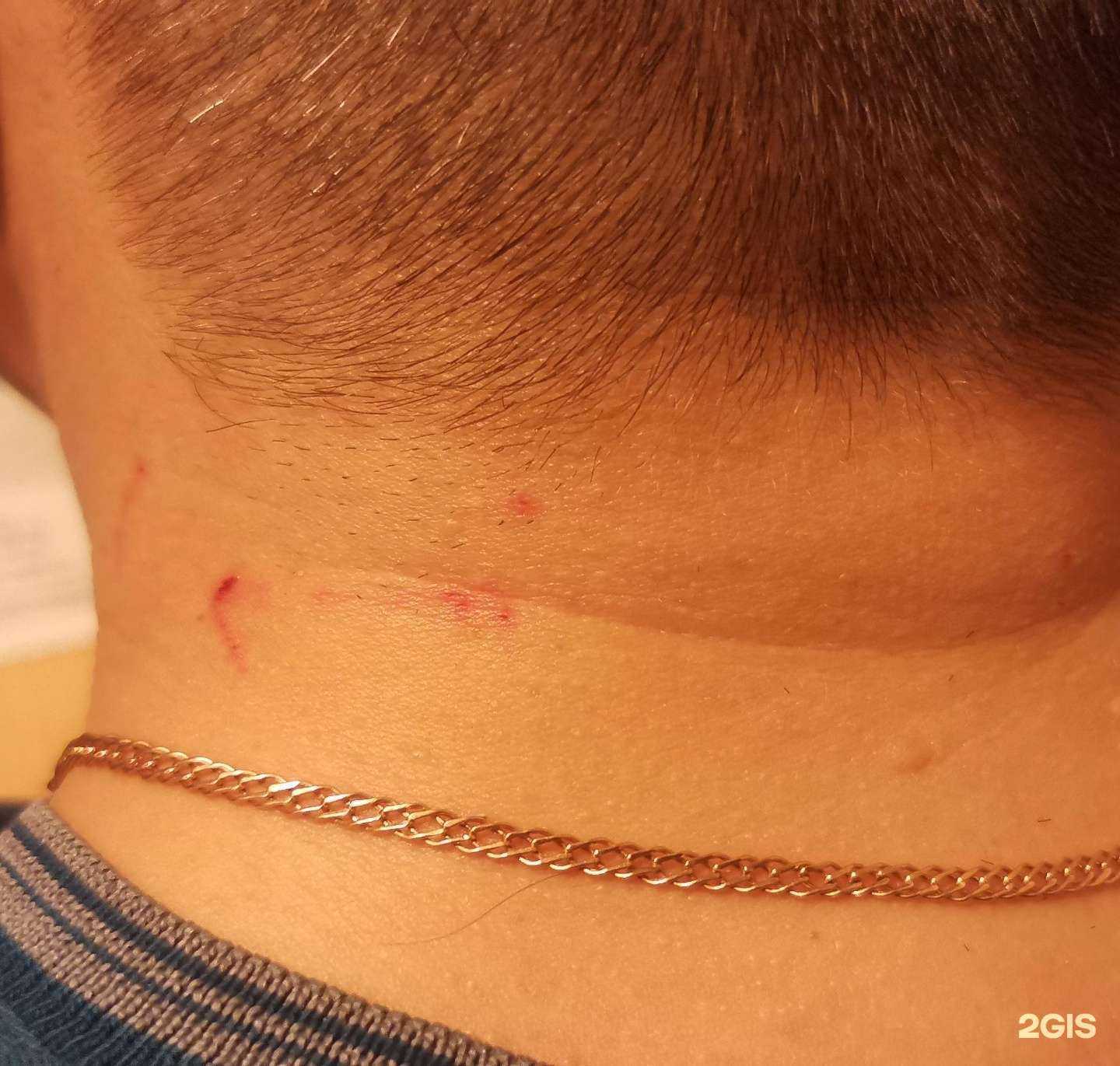 Отзывы на компанию Авеню в г. Сыктывкар c фото