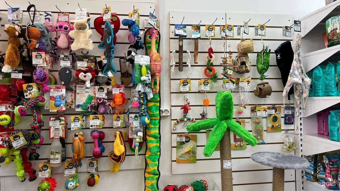 Отзывы на компанию Зоомир в Иркутске c фото