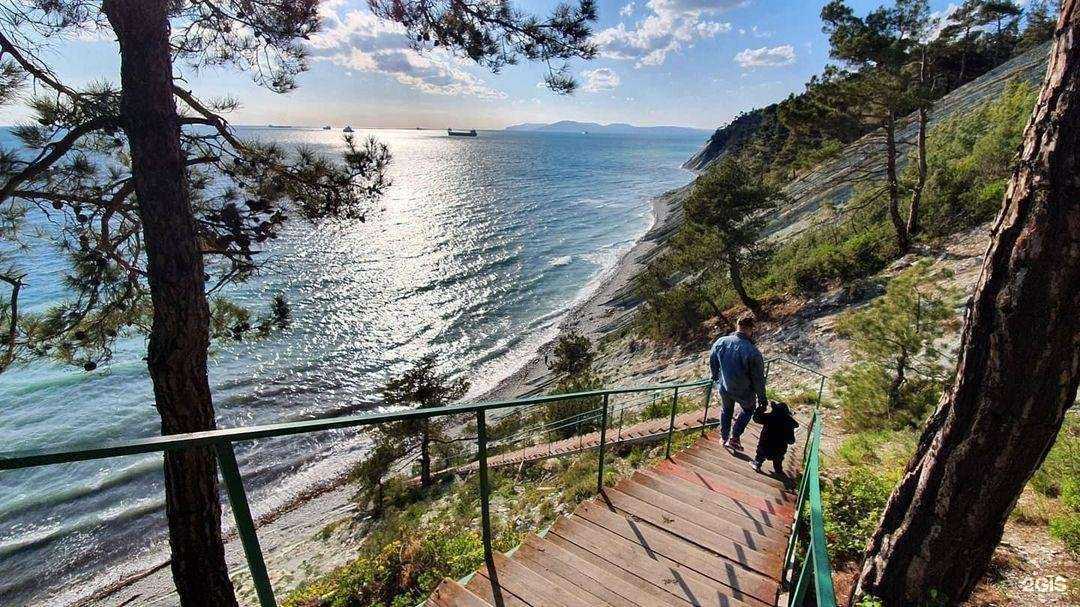 Отзывы на компанию Дентал в г. Новороссийск c фото