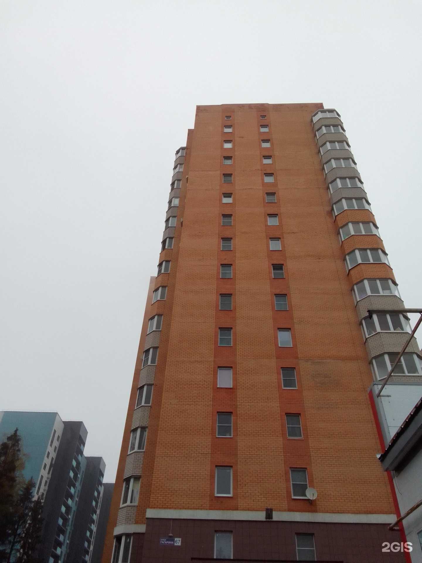 Отзывы на компанию Oh my dog в Обнинске c фото - фотография 2 из 2