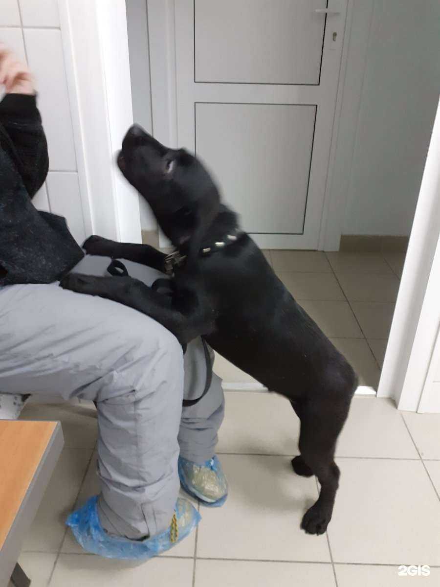 Отзывы на компанию Авет в Барнауле c фото