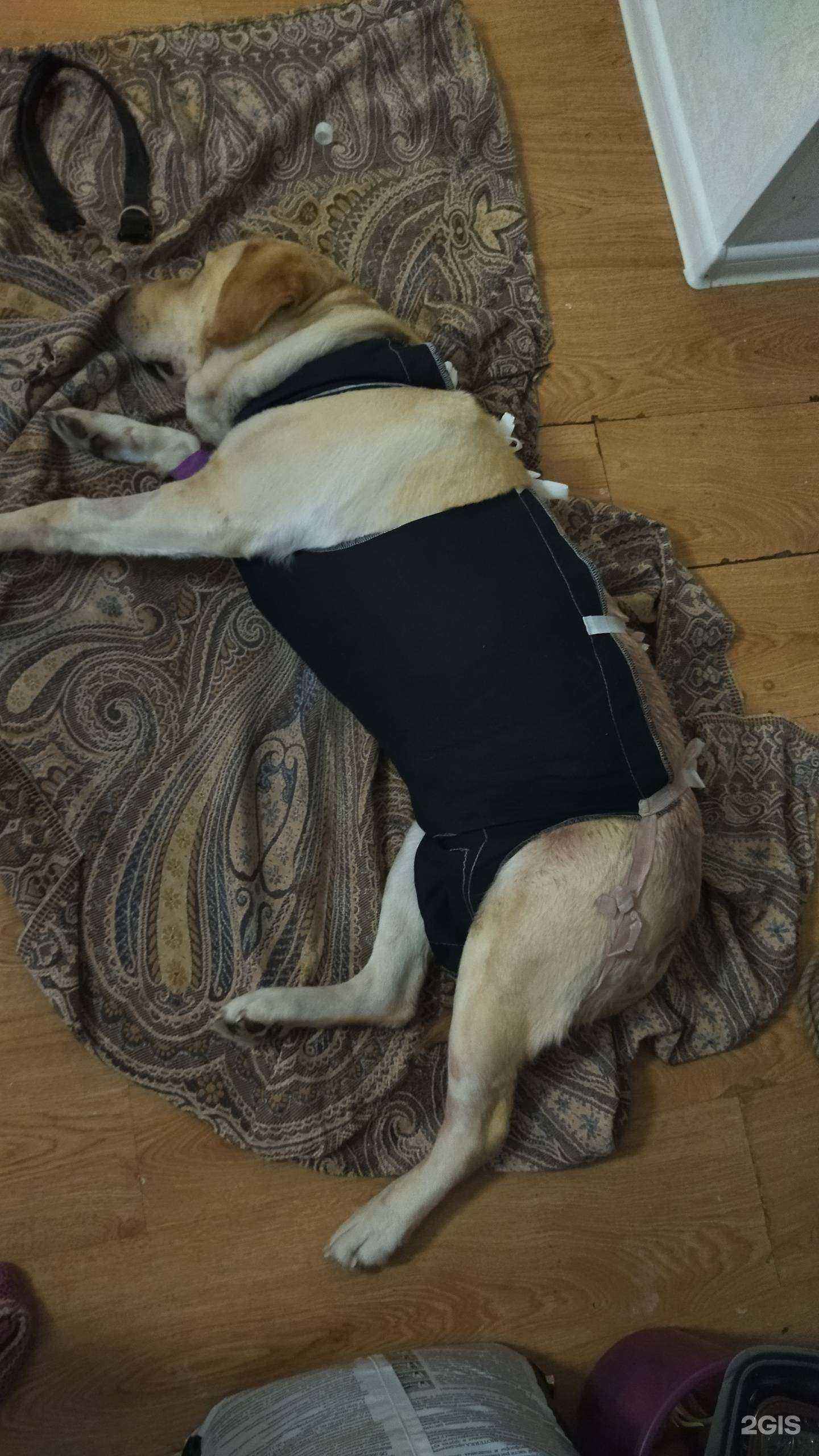 Отзывы на компанию Маша и медвет в Уфе c фото