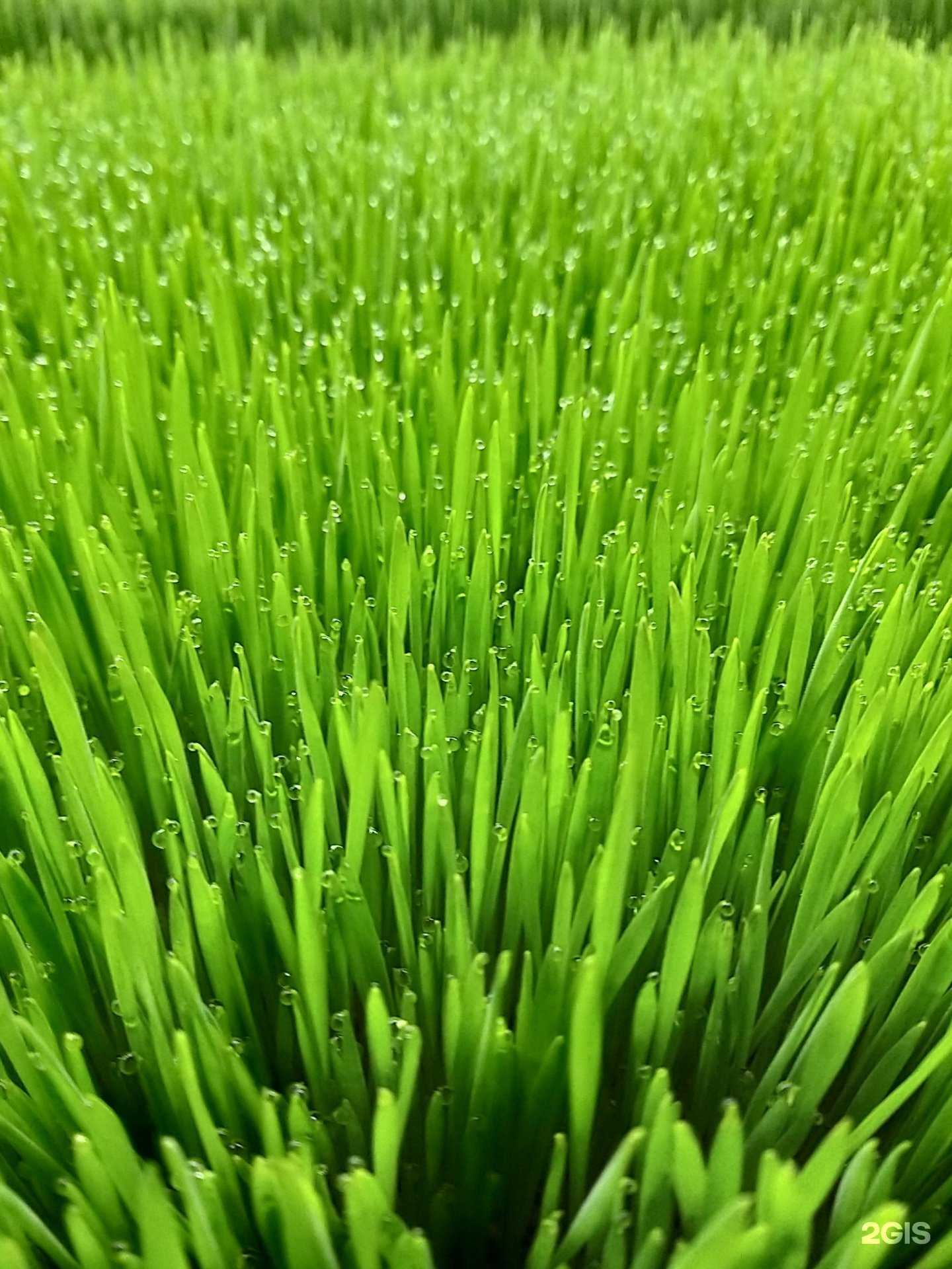 Отзывы на компанию Vо Благо в г. Екатеринбург c фото