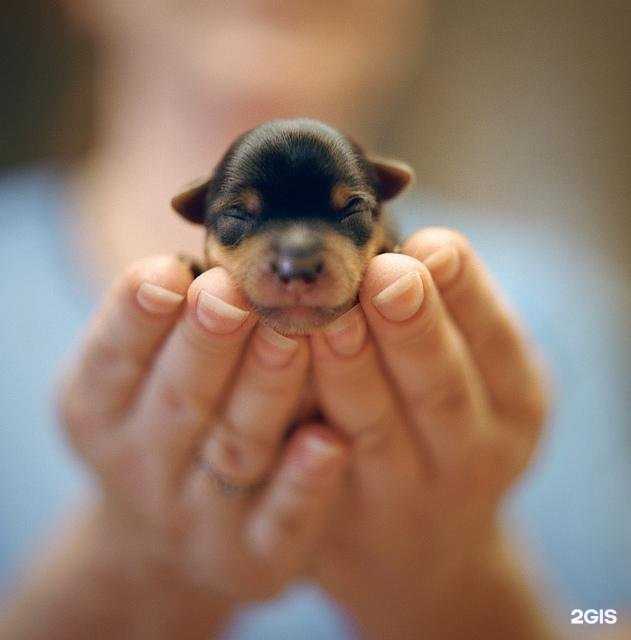 Отзывы на компанию Надежда в Тольятти c фото