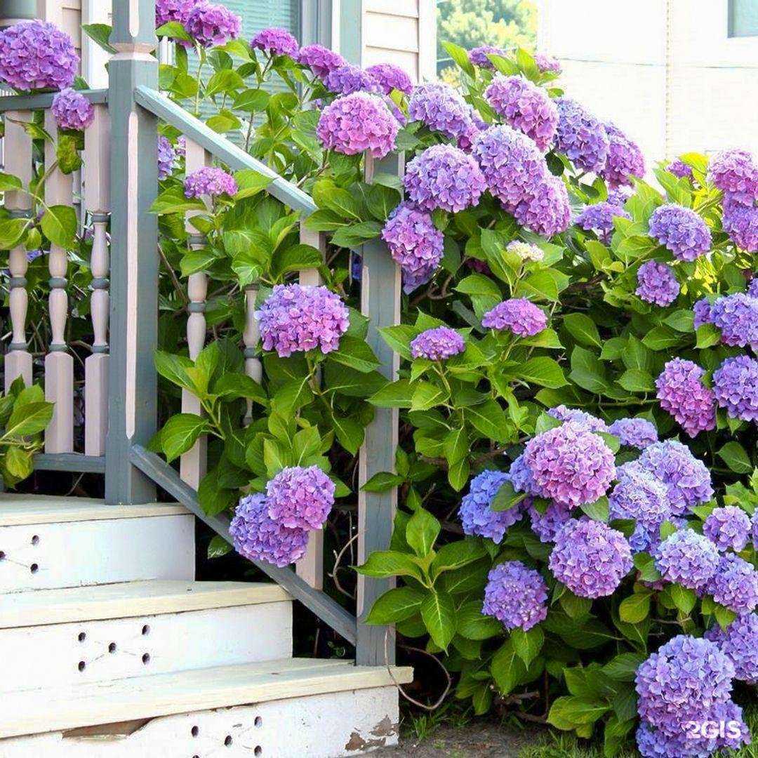 Отзывы на компанию Беккер Россия в Смоленске c фото