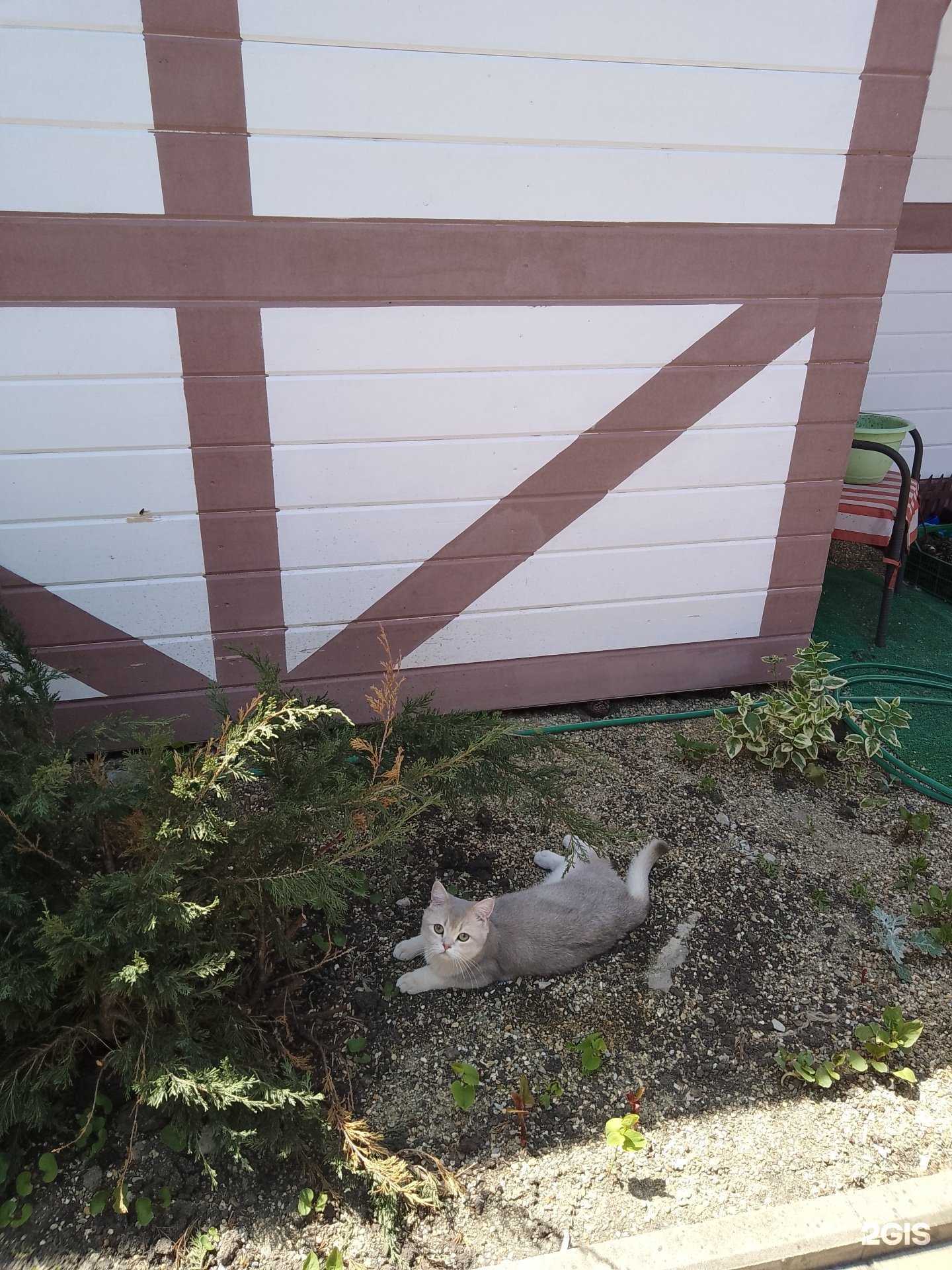 Отзывы на компанию Гостевой дом в г. Анапа c фото