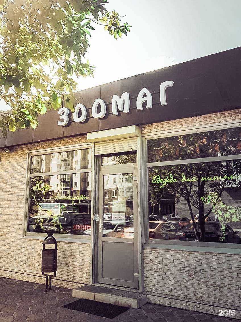 Отзывы на компанию Верный друг в Красногорске c фото