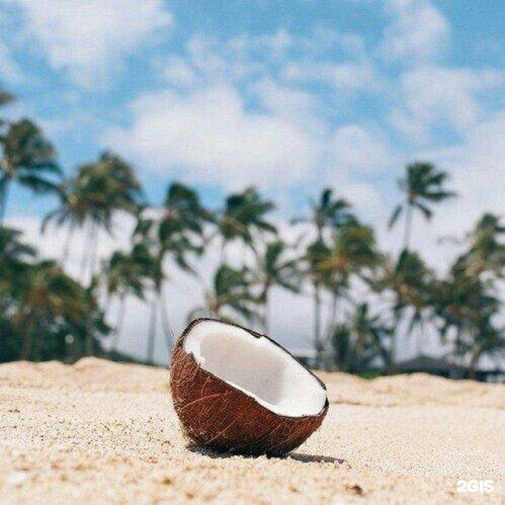 Отзывы на компанию Active Tour в Курске c фото