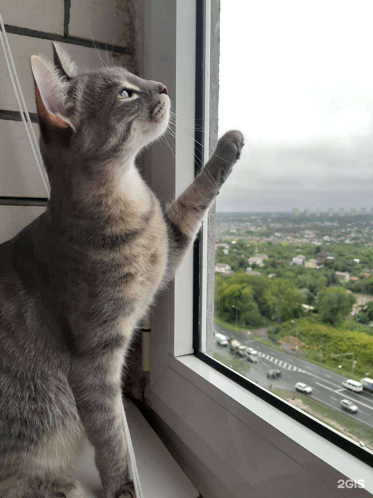 Отзывы на компанию Доброе сердце в Нижнем Новгороде c фото