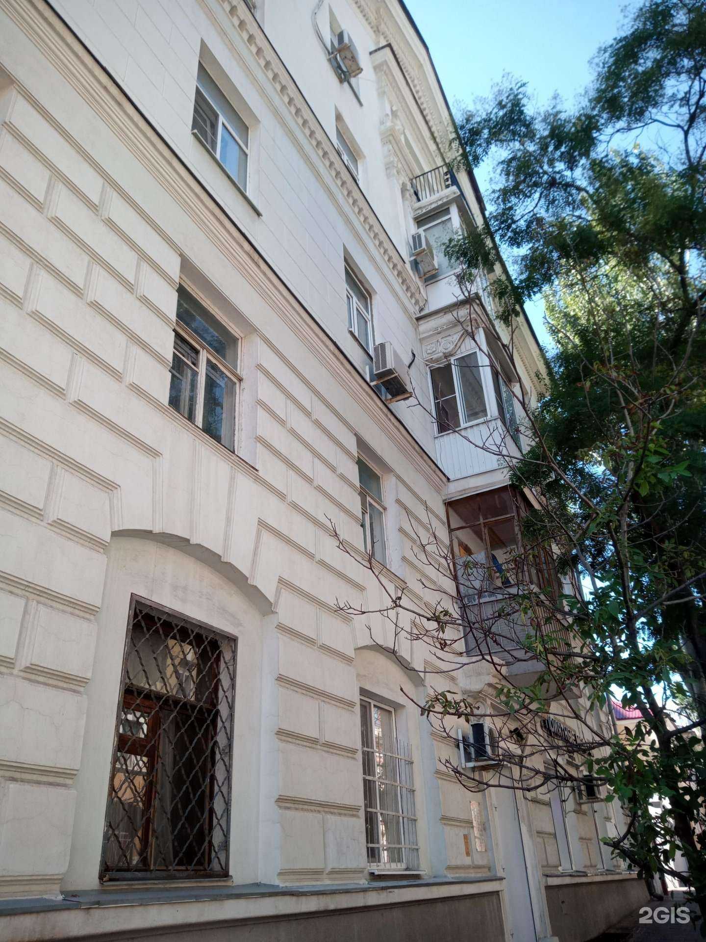 Отзывы на компанию Сад Базар в Ростове-на-Дону c фото - фотография 2 из 2