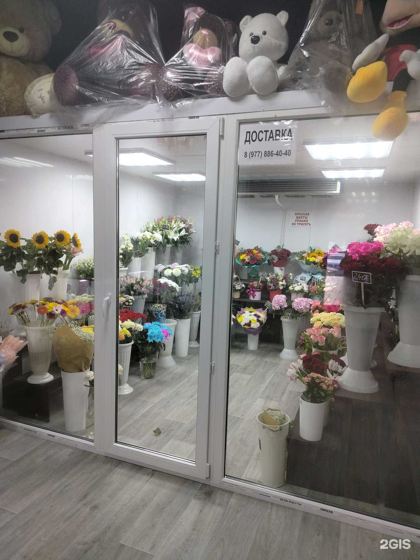 Отзывы на компанию Цветы от Екатерины в г. Лобня c фото