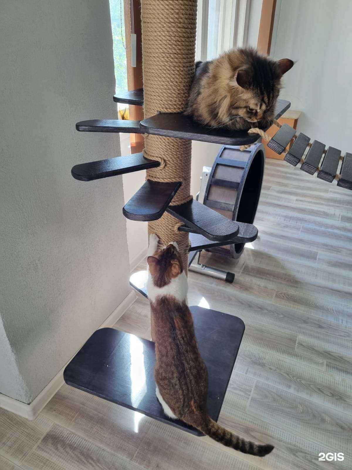 Отзывы на компанию ЗооВилла в г. Апатиты c фото