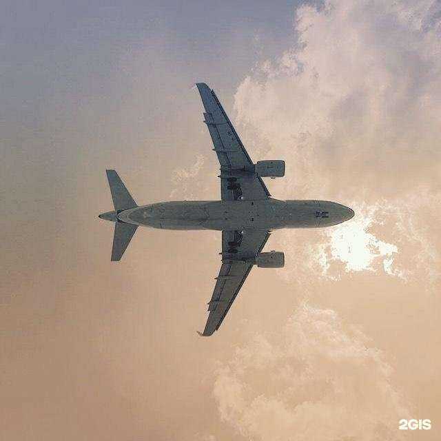 Отзывы на компанию Альфа-вояж в г. Воронеж c фото