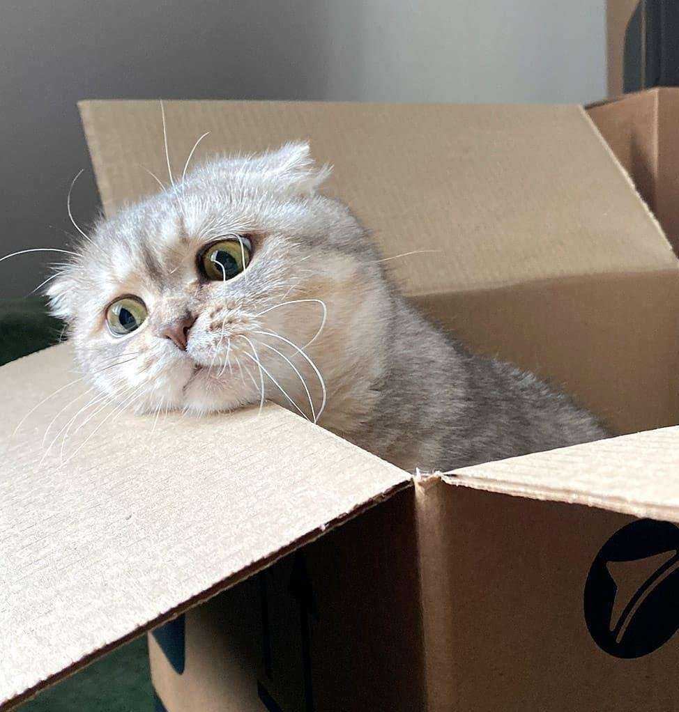 Отзывы на компанию CDEK в Великих Луках c фото