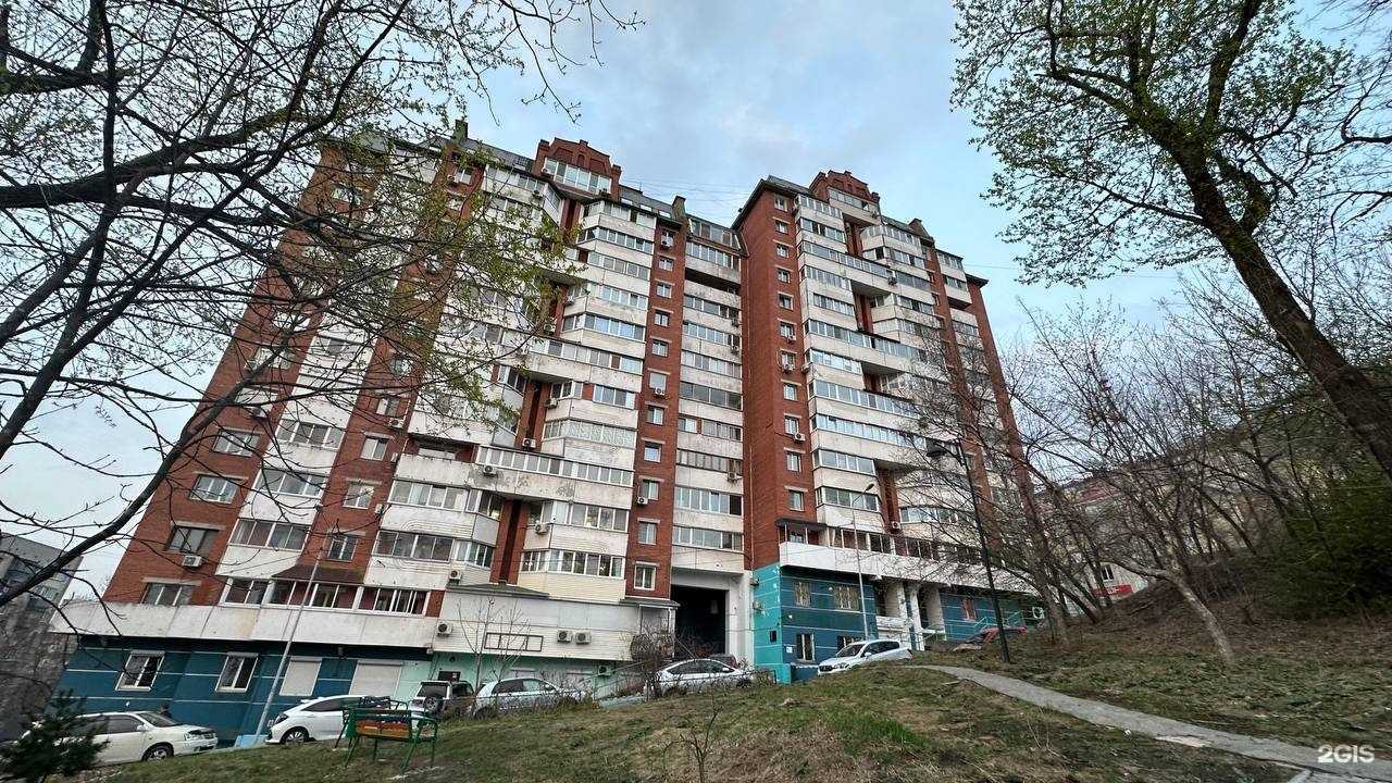 Отзывы на компанию lvl brow в Владивостоке c фото