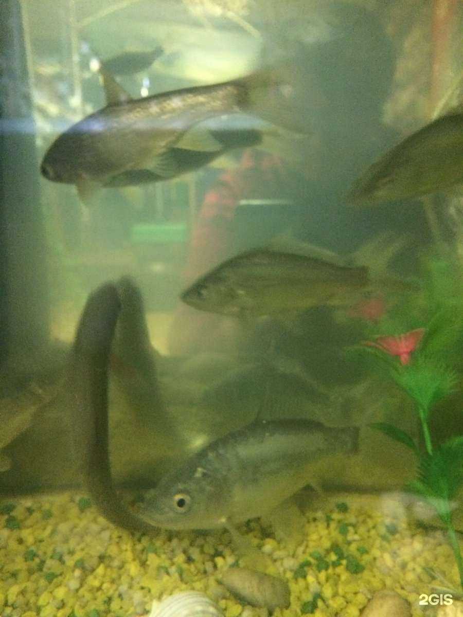 Отзывы на компанию Уловки рыбака в г. Новосибирск c фото