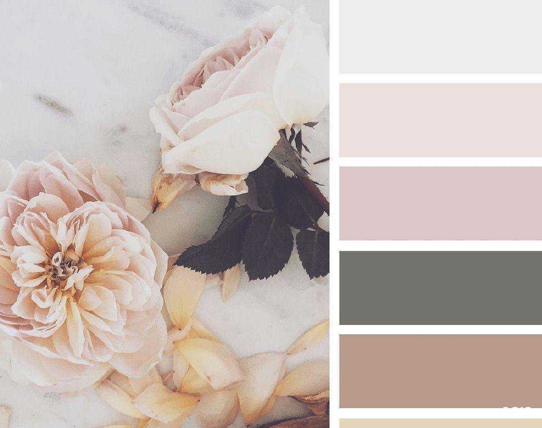 Отзывы на компанию Clasna в г. Архангельск c фото