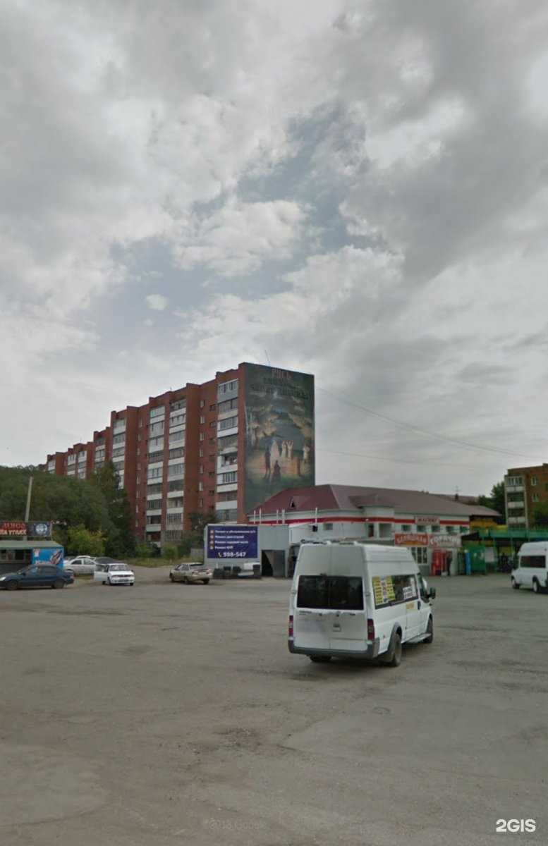 Отзывы на компанию ЛапУсики в Омске c фото - фотография 2 из 2