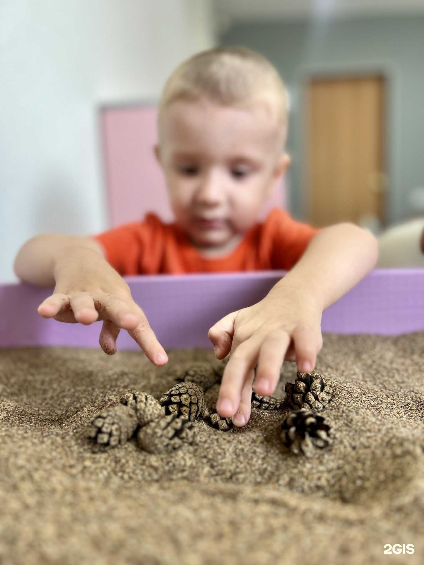 Отзывы на компанию Кот ученый в Оренбурге c фото