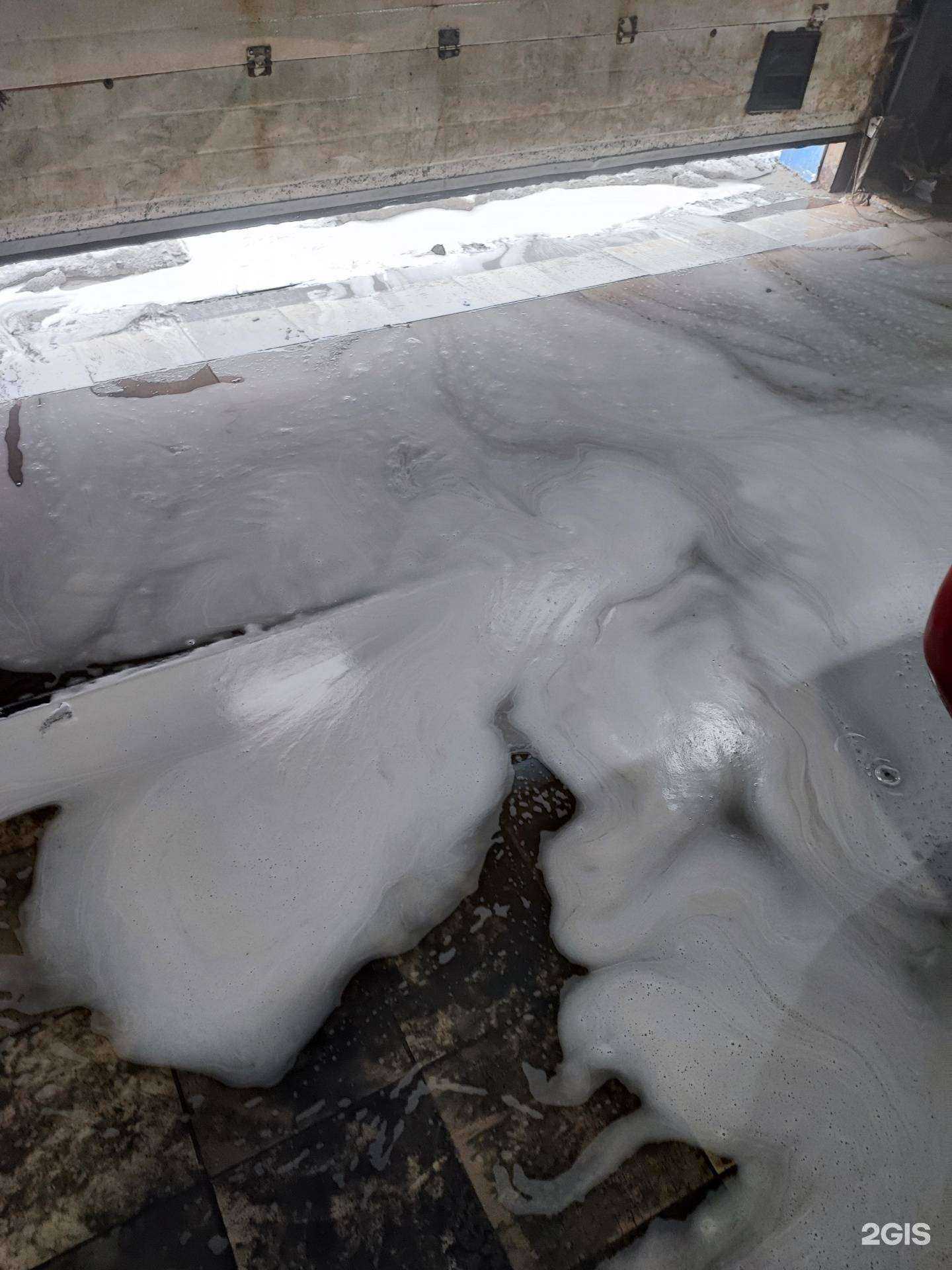 Отзывы на компанию Слон в Сургуте c фото