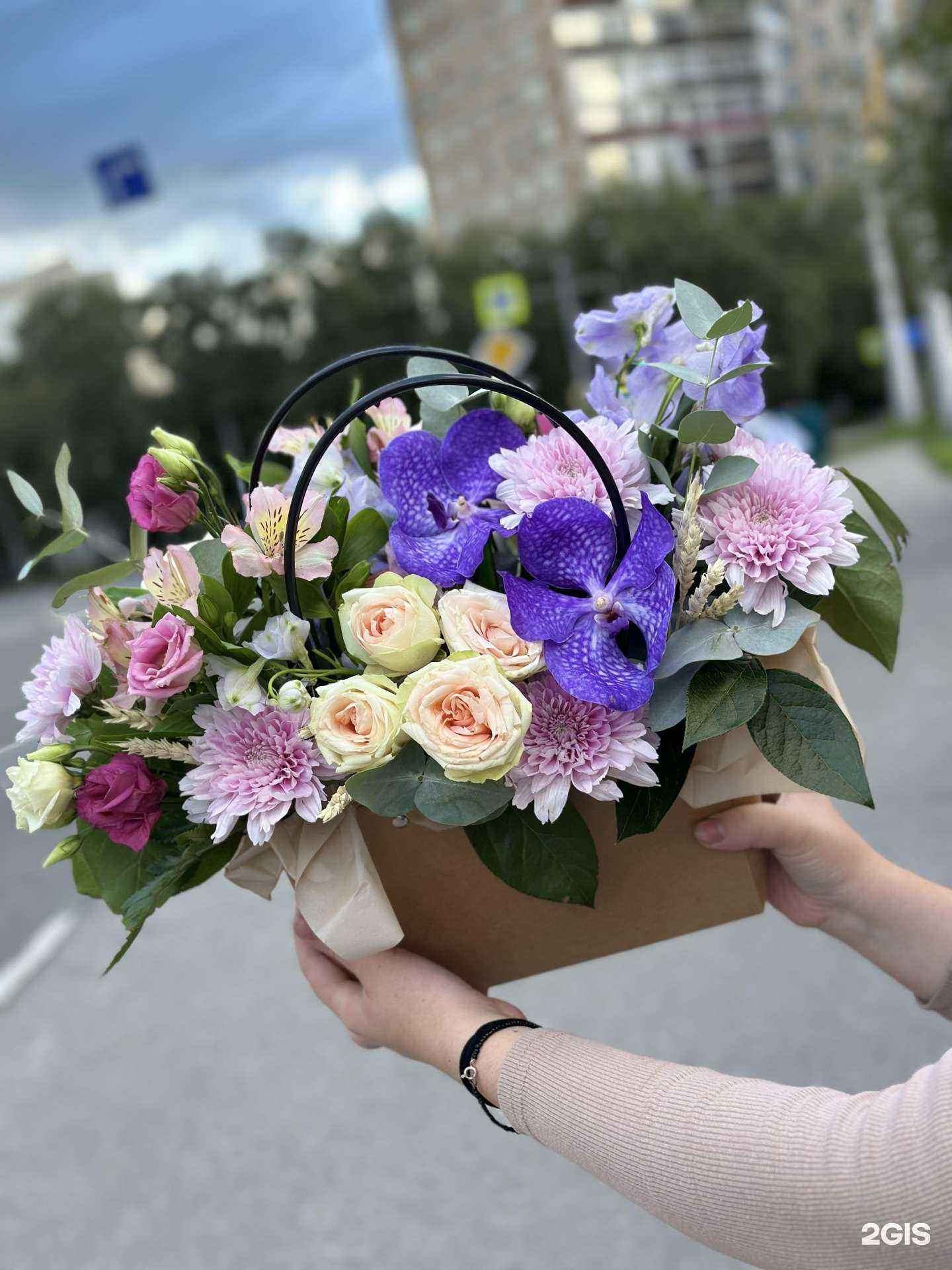 Отзывы на компанию Литония в г. Новокузнецк c фото