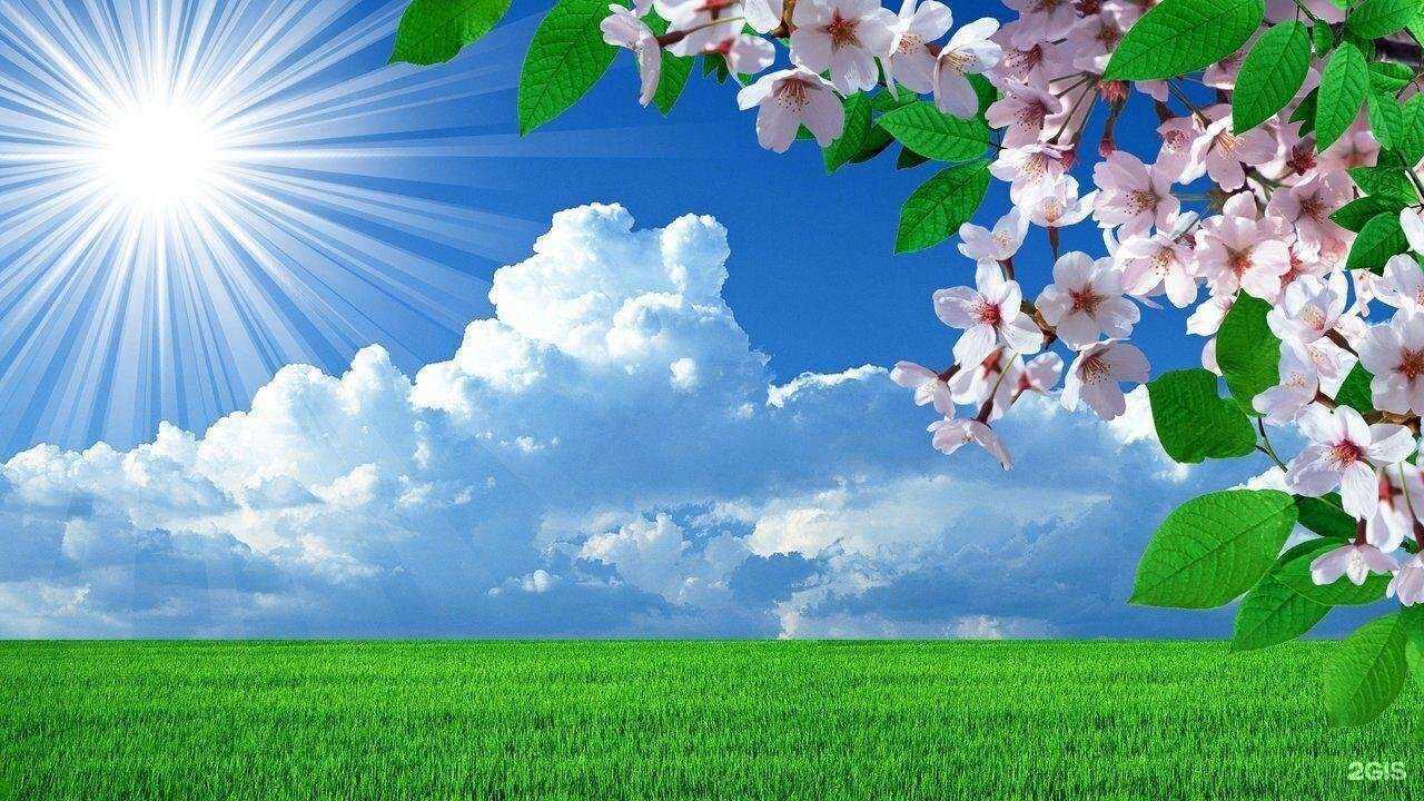 Отзывы на компанию Сыктывкарская детская поликлиника №3 в г. Сыктывкар c фото