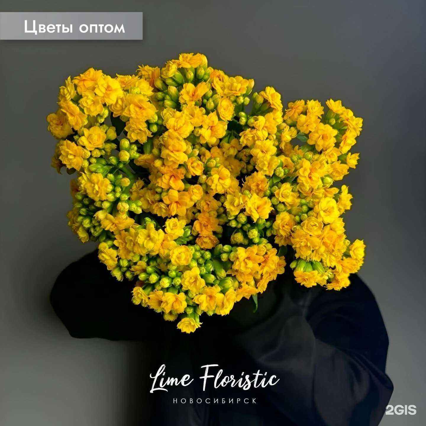 Отзывы на компанию Lime floristic в Новосибирске c фото
