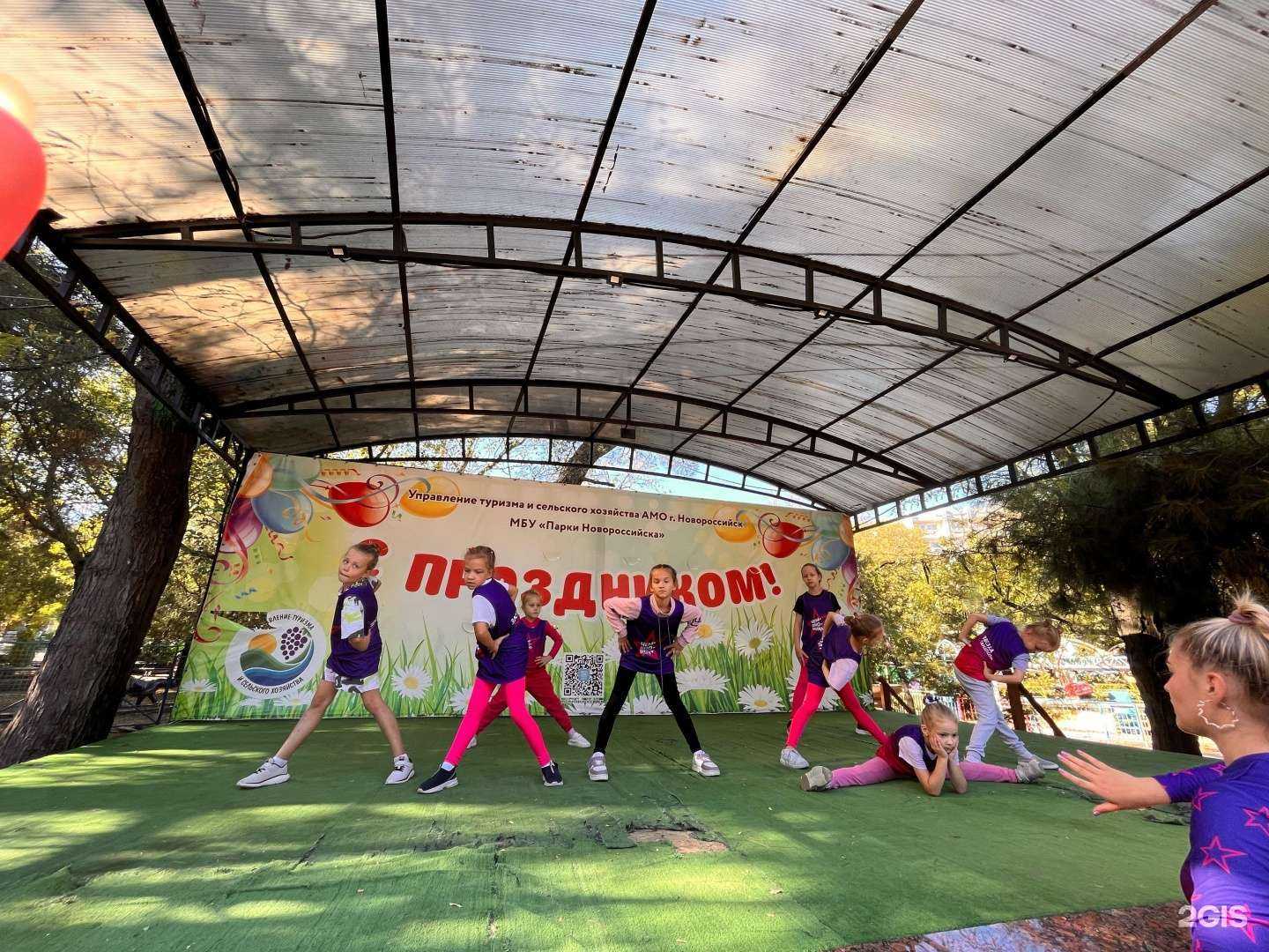 Отзывы на компанию Чемпионика в Новороссийске c фото